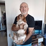 levent veral