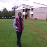 ELVIS SAISI