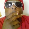 SOLO JOHNSON 913