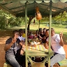 Team Friends