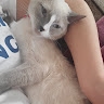 K. S