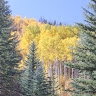 NFM Estes