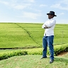 Kakaire Manda