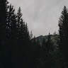 Jenifer  