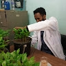 Hailu Negesa
