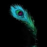 Pongownisha R