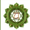 Vizionary Quest