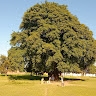 NESS SCIENCE NETWORK UGANDA NSNU