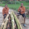 Kiapi KFreddie