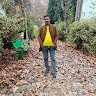Reza Rahi