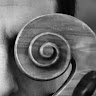 Ariel Barnes - Cellist