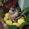 Vinitha K