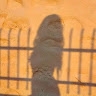 zoe apostolou