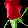 Zubair Usman