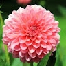 Paula Krueger