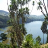 Rogers Kuluudhi
