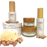 Bay Body Co
