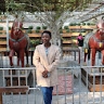 Doreen Akankwasa
