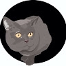 znu moodle