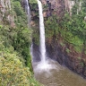 Mkhuva Simango