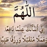 Anisa Mohamoud