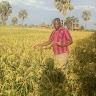 Okullo peter paul