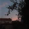 Ελευθερία Χολέβα