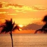 Sarah Mullins