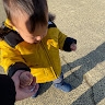 理恵 坂上