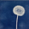 Marie Saule