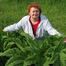 Елена Козинец