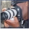 David Dottin