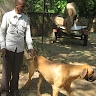 Ray Mwansa