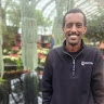 Frezer Tadesse