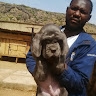 RICHARD ADEWALE MOMOH