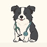 Dr Damian Smith