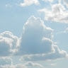 Al  