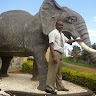 Geoffrey Namisi