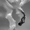 Jane Jeffers