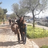 Ire Taras