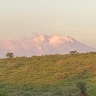 Eliud Wambua