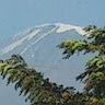 Shija Joseph Shija