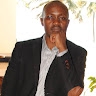 powel collins