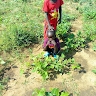 EMUTO TONNY