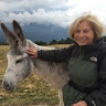 Joan Cohen