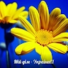 Ольга Губарева