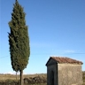 Salvatore Di Grazia