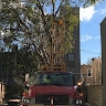 Main Line Drilling Company
