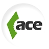ACE Carpentry
