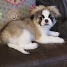 Ilaromy Murru